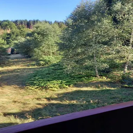 Prázdninový dům Im Thueringer Wald *
