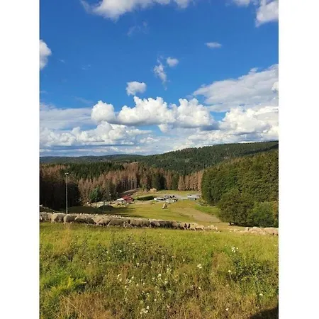 Im Thueringer Wald * Langenbach (Thuringia)
