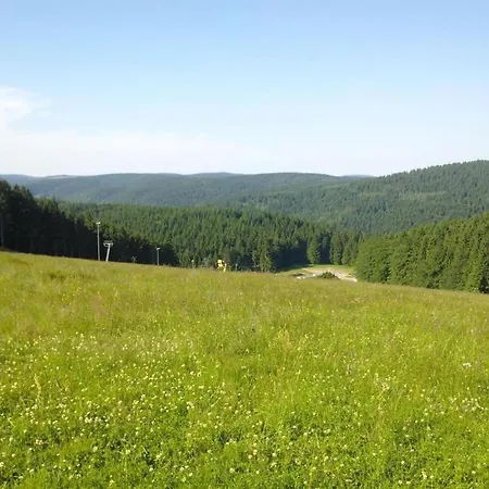 Im Thueringer Wald Langenbach (Thuringia)