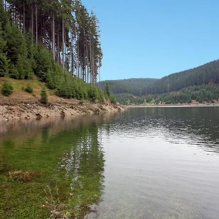 Im Thueringer Wald