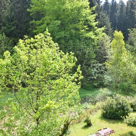 Im Thueringer Wald *