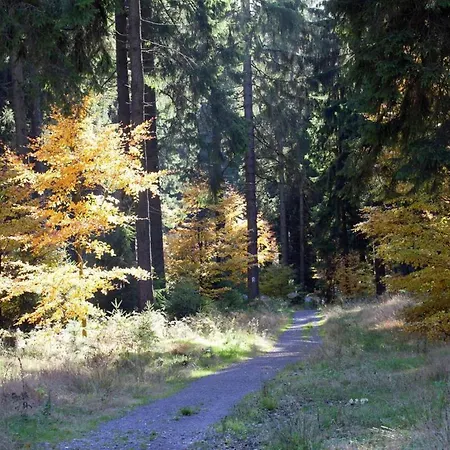 Prázdninový dům Im Thueringer Wald